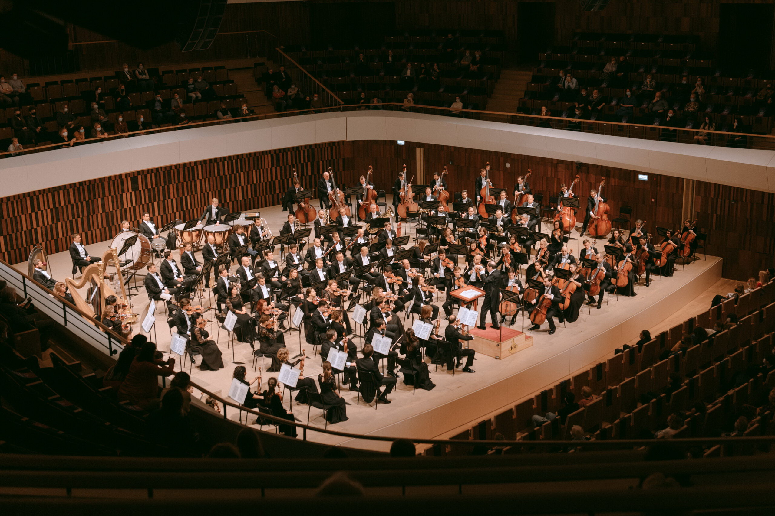 Симфосказка «12 месяцев». МГАСО, Агриппина Стеклова