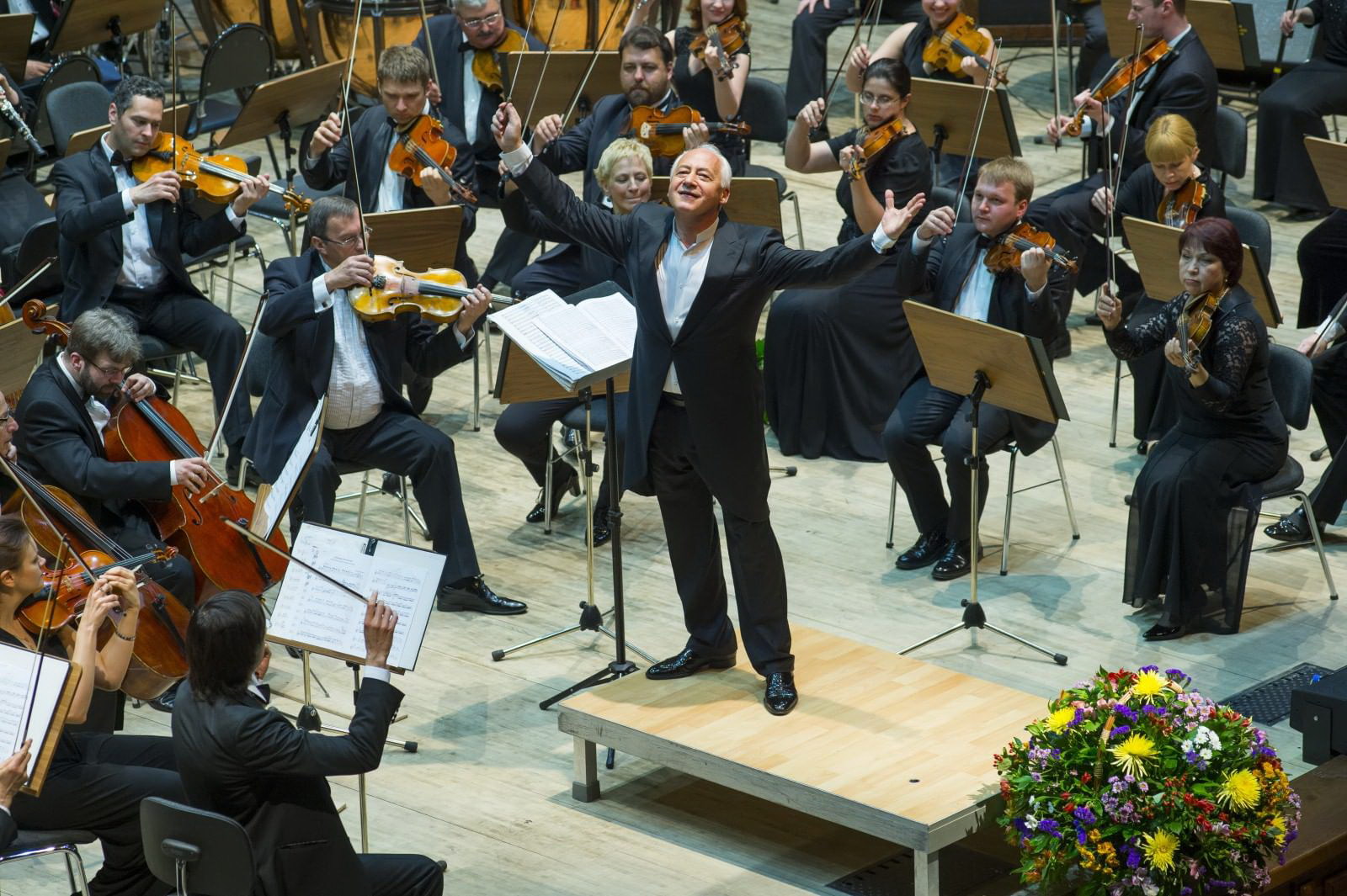 Екатерина Мечетина, НФОР